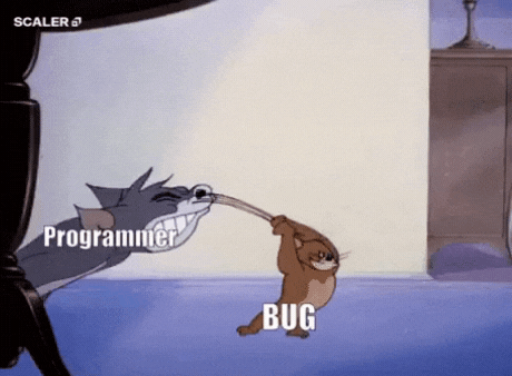 Programmer kena bug