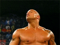 Reaksi The Rock